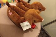 Doggy lover slippers