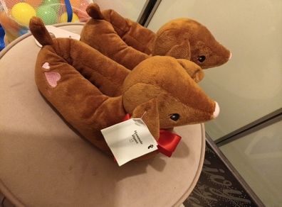 Doggy lover slippers