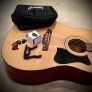 Ibanez Image 5