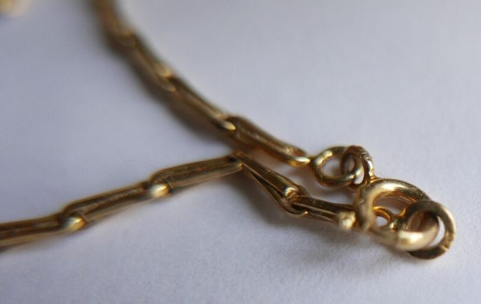 Antique Gold Filled Hayseed Chain Necklace and Pendant length 12"