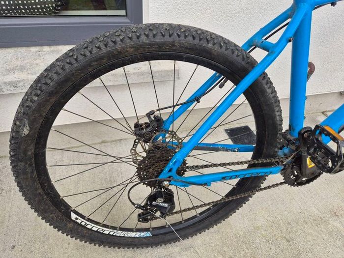 Carerra bike