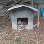 dog house Image 2