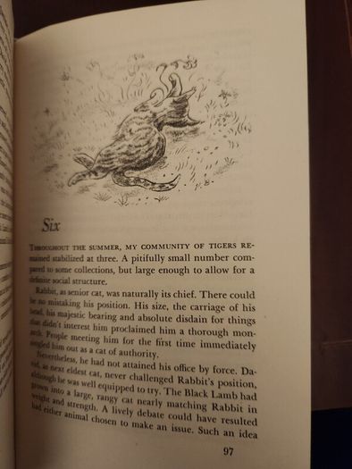 My Five Tigers. The Cats In My Life. By Lloyd Alexander. First Edition 1956.  Hardback With Dustjacket In Good Condition. 37.