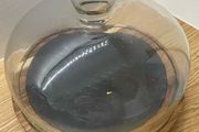 Glass display dome / cloche