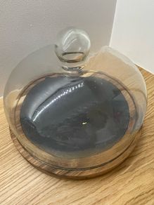 Glass display dome / cloche