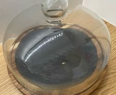 Glass display dome / cloche