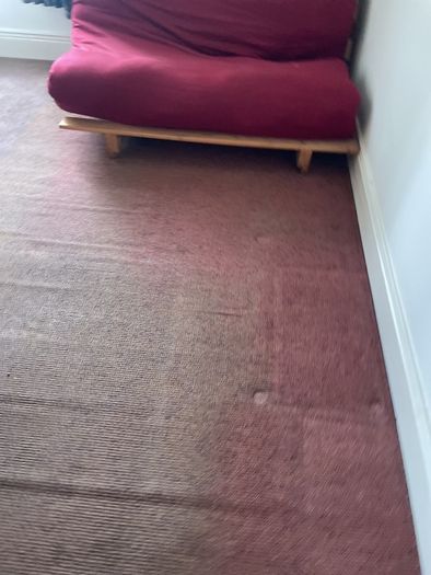 FUTON couch / bed