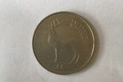 Irish Punt Coin