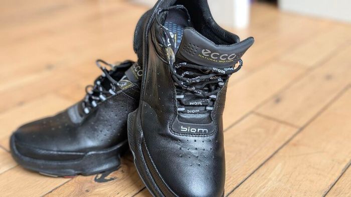 Ecco Biom C