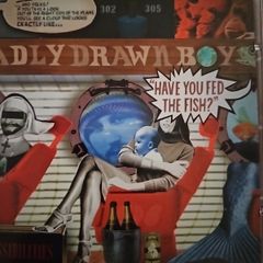 Badly Drawn Boy - Have You Fed The Fish?