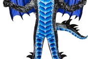Dragon Costume