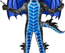 Dragon Costume