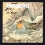 1988 Portugal Madeira  Rare Birds Commemorative Stamp Presentation Pack Image 2