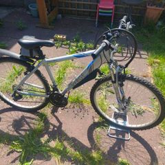 Apollo Verge Mountain Bike
