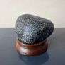 Natural Fossilized Coral Pebble Image 3
