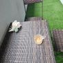 Garden furniture Image 5