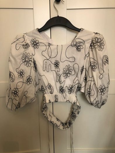 Embroidered Crop Top - Zara NEW