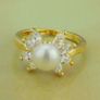 Ring Image 3
