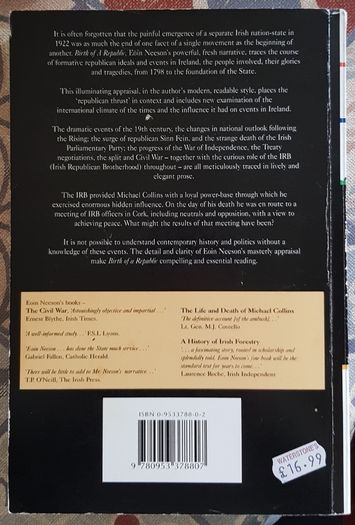 Birth Of A Republic by Eoin Neeson