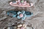pet collar