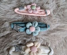 pet collar
