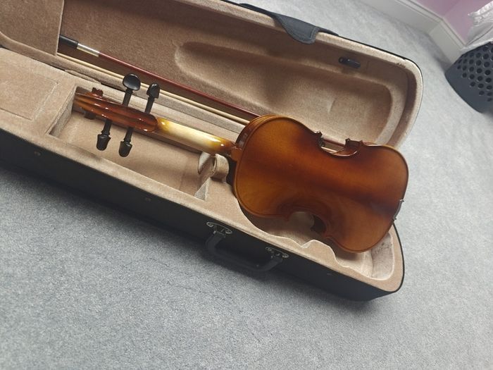Violin