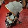 Buggy Image 2