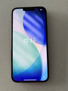 iPhone 13 Pro Max