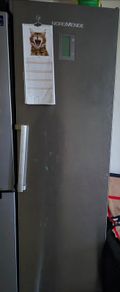 Freestanding Freezer