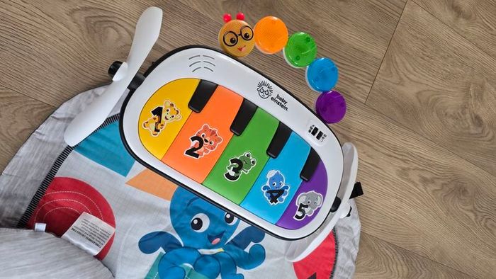 Baby einstein baby playmat