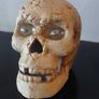 Skull /Gothic home  decor Image 3