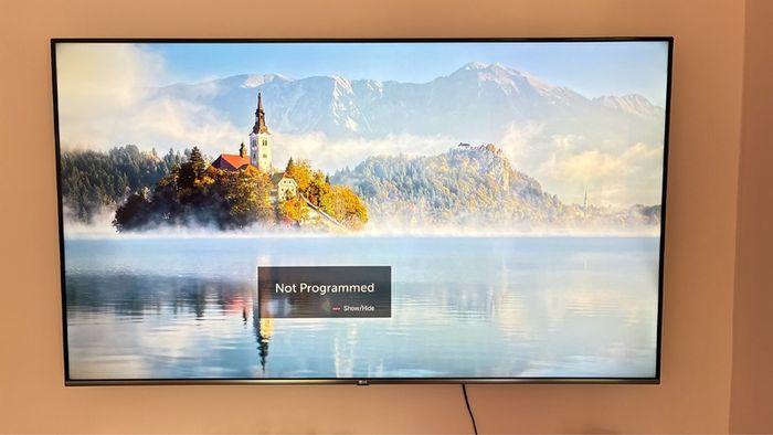 LG 65 inch smart TV