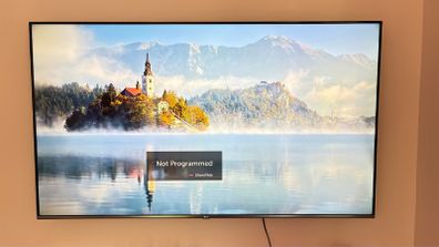 LG 65 inch smart TV