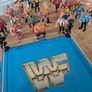 WWF Figures and Ring Image 8