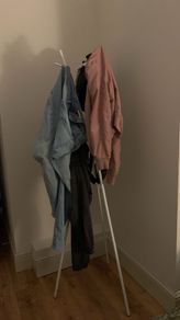 Coat stand for home