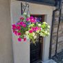 Hanging basket Image 4