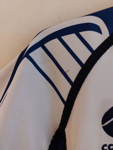 Leinster rugby jersey
