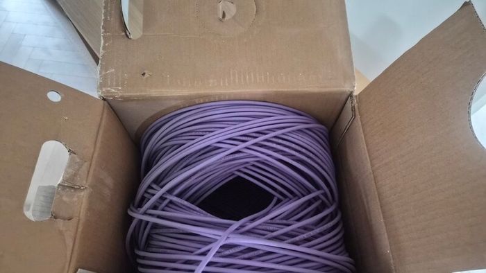 cat 6
