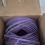cat 6 Image 2