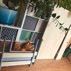 strong table