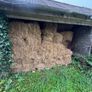 Square bales Image 2