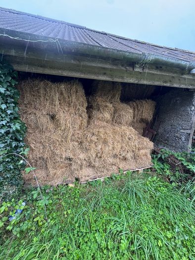 Square bales