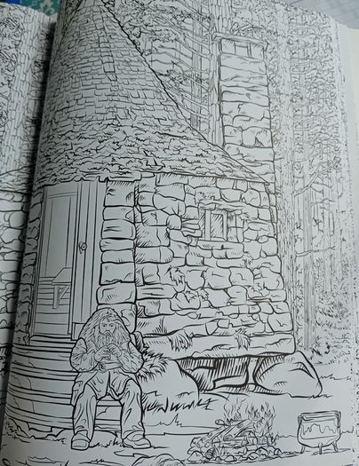 Harry Potter colouring book