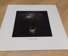 The Call - Into The Woods - Vinyl Record