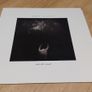 The Call (michael Been) - Vinyl Records Image 2