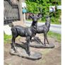 Pair of Standing Stags D7223 Image 2