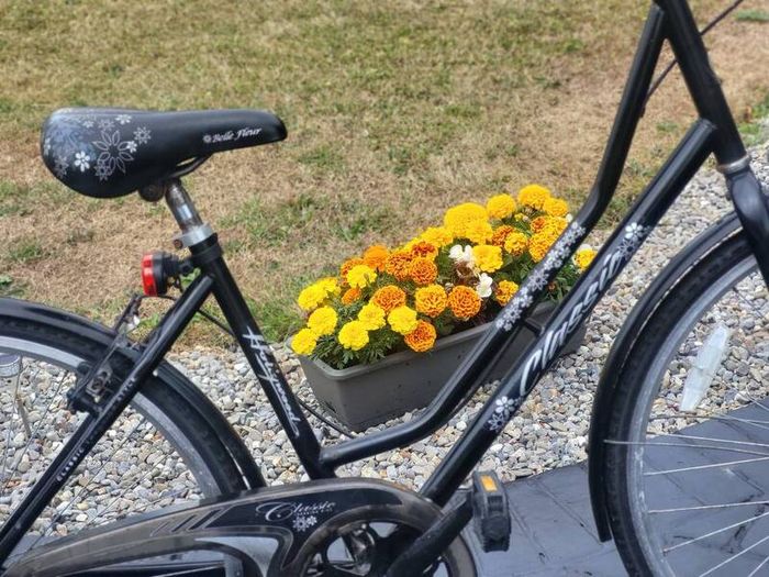 Ladies Bike Ready To Use
