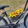 Ladies Bike Ready To Use Image 2