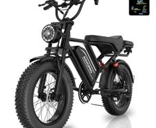 Electric Fat Tyre Bike 750 watt