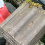 roof tiles Image 6